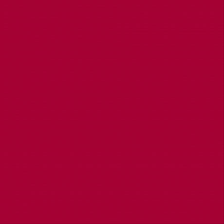 SERVILLETAS DUNISOFT 40x40 117277 BURDEOS (720 UNID.) - assortiment