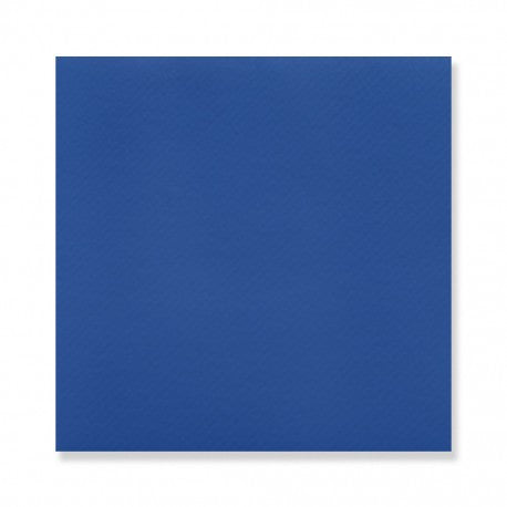 SERVILLETAS "DOUBLE POINT" ECOLABEL 18 G/M2 39x39 CM AZUL MARINO TISSUE (1200 UNID.) - assortiment